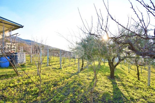 casa indipendente in vendita a Pollena Trocchia