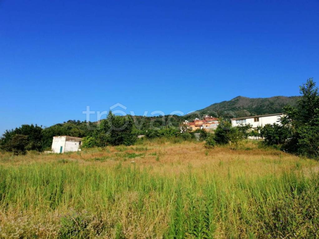 terreno agricolo in vendita a Pollena Trocchia