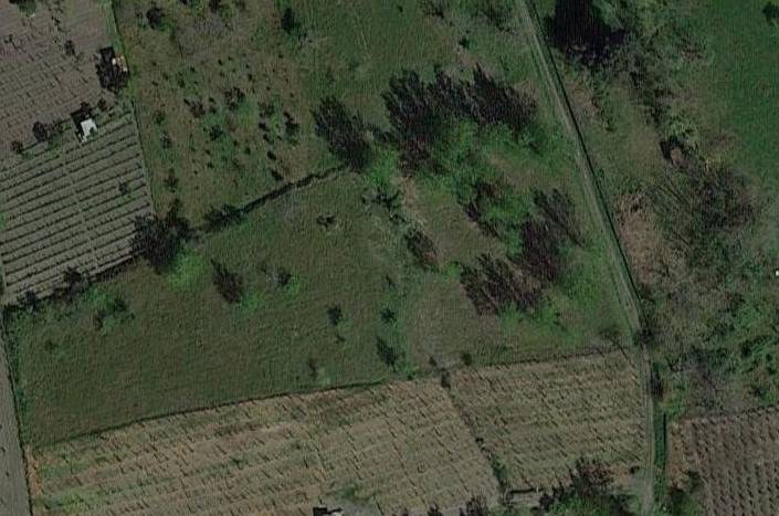 terreno agricolo in vendita a Pollena Trocchia