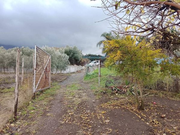 terreno agricolo in vendita a Pollena Trocchia