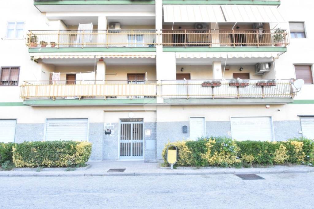 immagine annuncio 0 di 15