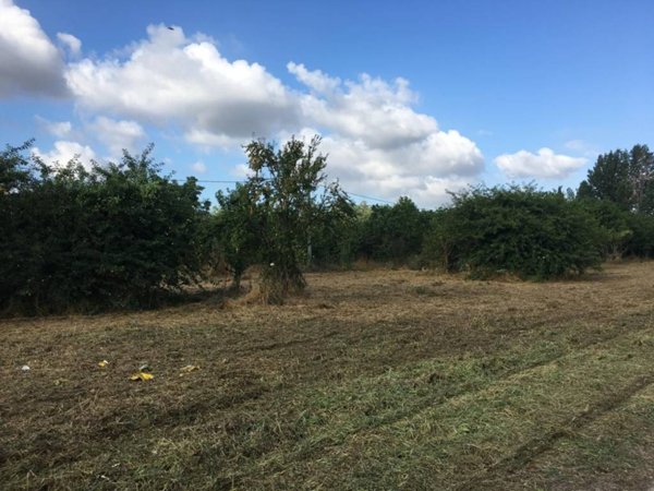 terreno agricolo in vendita a Pomigliano d'Arco