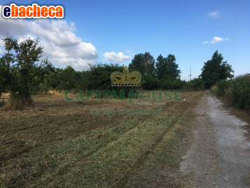 terreno agricolo in vendita a Pomigliano d'Arco