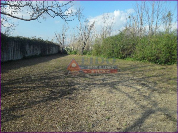 terreno agricolo in vendita a Pomigliano d'Arco