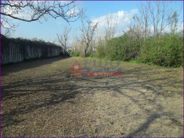 terreno agricolo in vendita a Pomigliano d'Arco
