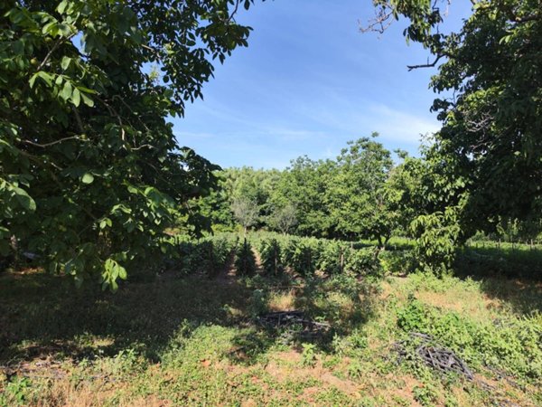 terreno agricolo in vendita a Pomigliano d'Arco