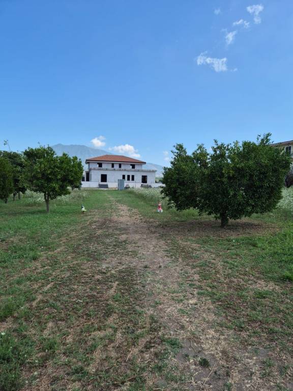 terreno agricolo in vendita a Pomigliano d'Arco