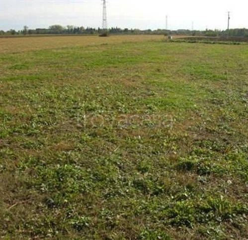 terreno agricolo in vendita a Pomigliano d'Arco