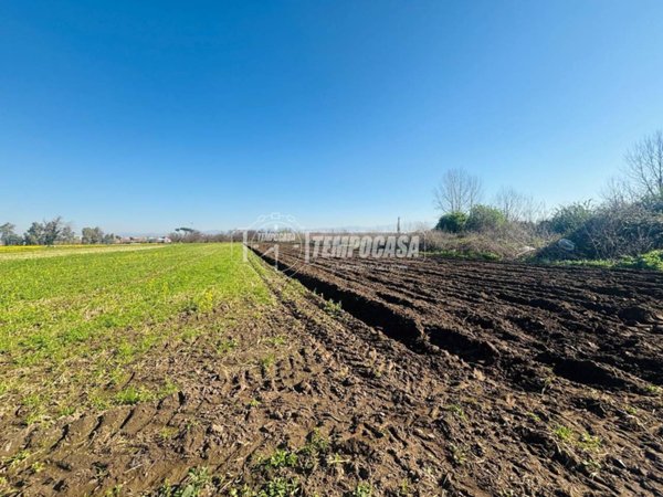 terreno agricolo in vendita a Pomigliano d'Arco
