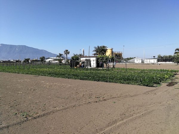 terreno agricolo in vendita a Pompei