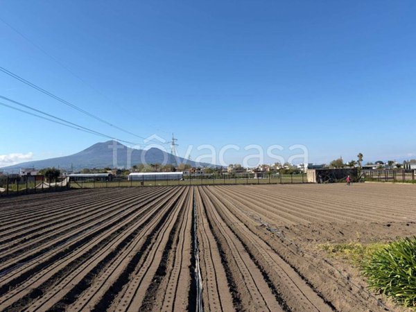 terreno agricolo in vendita a Pompei