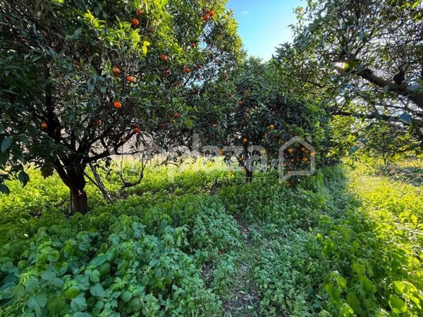 appartamento in vendita a Portici