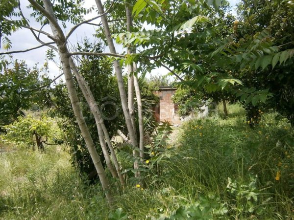 terreno agricolo in vendita a Pozzuoli