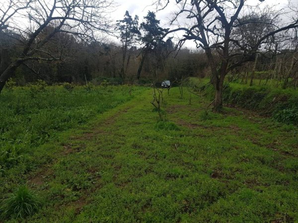 terreno agricolo in vendita a Pozzuoli