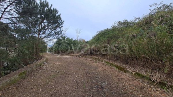 terreno agricolo in vendita a Pozzuoli in zona Arco Felice