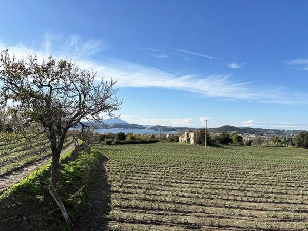 casa indipendente in vendita a Pozzuoli