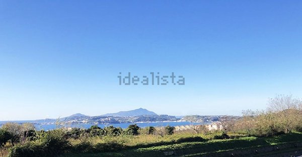 pentavano in vendita a Pozzuoli