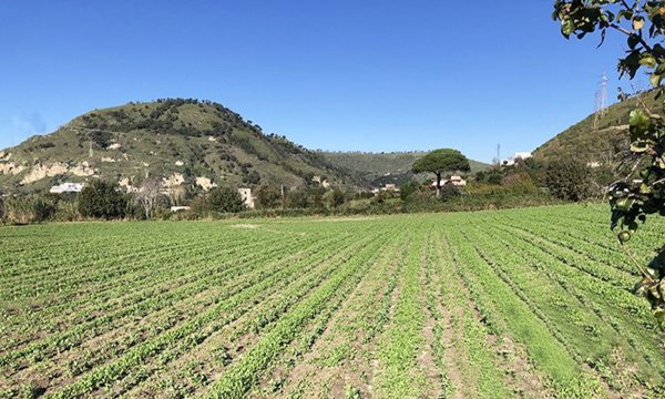 pentavano in vendita a Pozzuoli