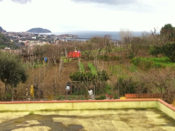 terreno agricolo in vendita a Pozzuoli in zona Monterusciello