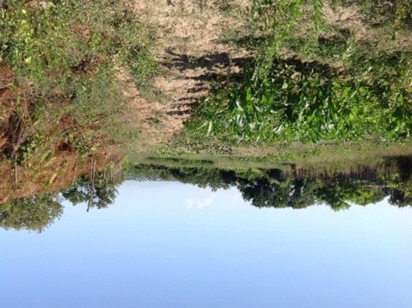 terreno agricolo in vendita a Pozzuoli in zona Monterusciello