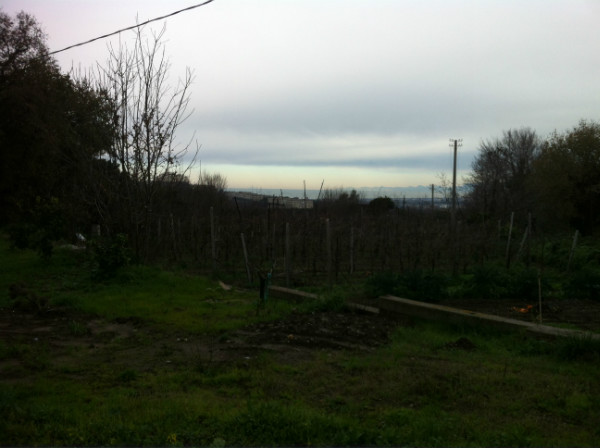 terreno agricolo in vendita a Pozzuoli in zona Monterusciello