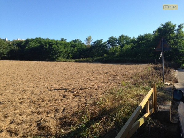 terreno agricolo in vendita a Pozzuoli in zona Monterusciello