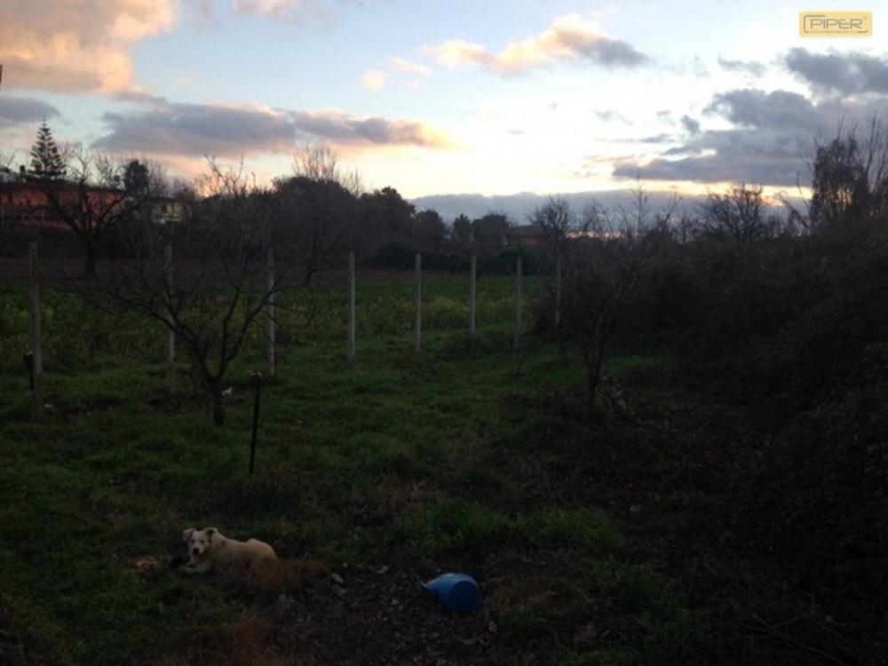 terreno agricolo in vendita a Pozzuoli in zona Monterusciello