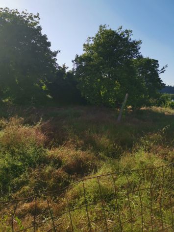 terreno agricolo in vendita a Pozzuoli