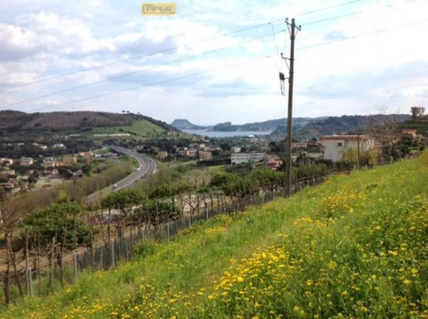 azienda agricola in vendita a Pozzuoli