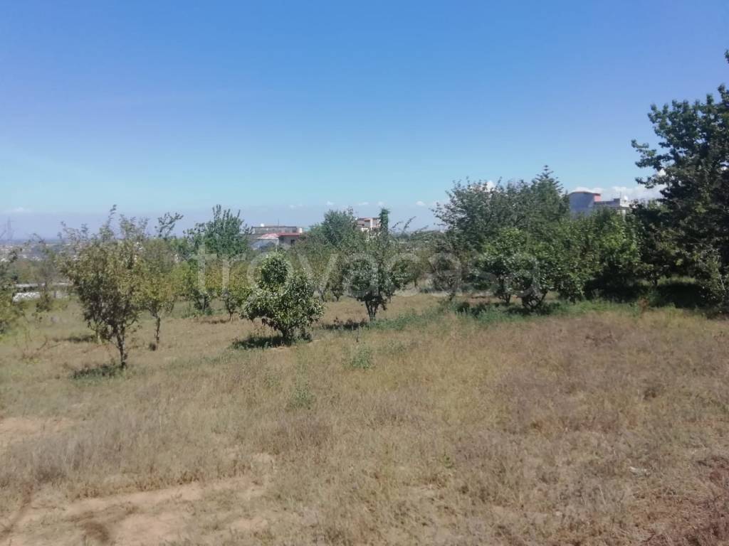 terreno agricolo in vendita a Pozzuoli in zona Monterusciello