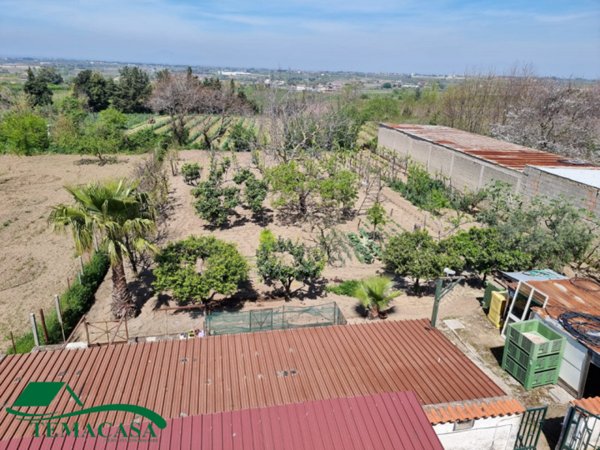 appartamento in vendita a Pozzuoli in zona Licola Lido