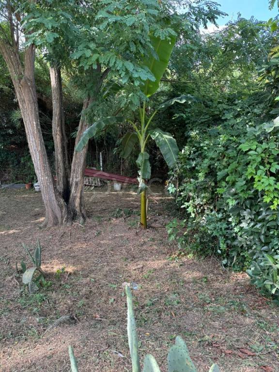 terreno agricolo in vendita a Pozzuoli
