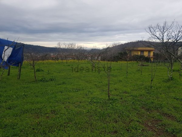 terreno agricolo in vendita a Pozzuoli