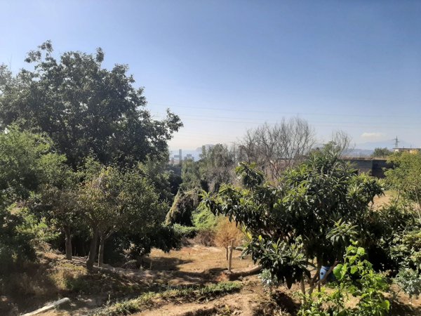 terreno agricolo in vendita a Pozzuoli
