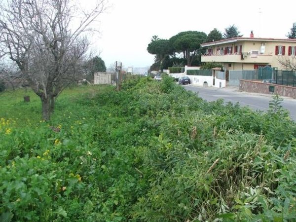 terreno agricolo in vendita a Pozzuoli in zona Licola Lido