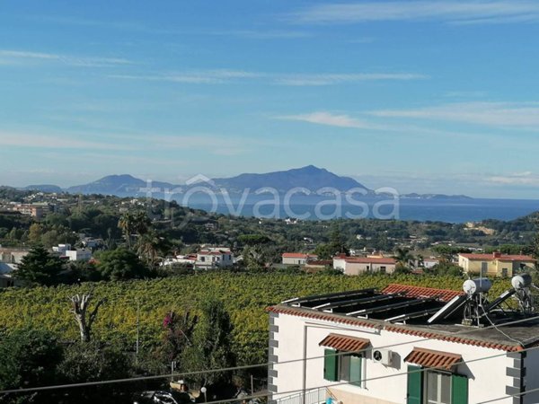 appartamento in vendita a Pozzuoli in zona Monterusciello
