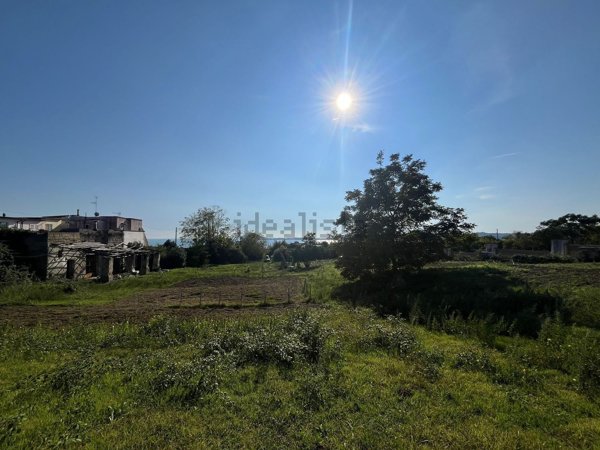 esavano in vendita a Pozzuoli