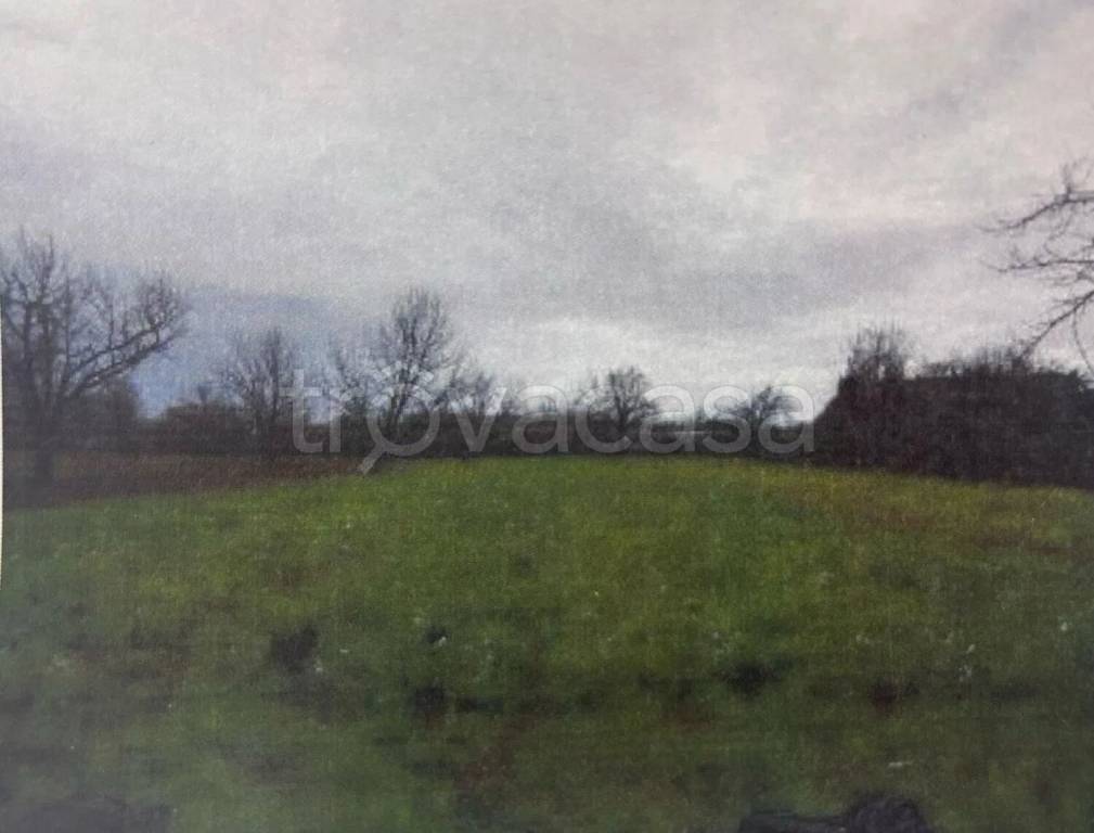 immagine annuncio 0 di 1