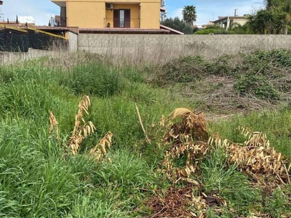 terreno agricolo in vendita a Pozzuoli in zona Monterusciello