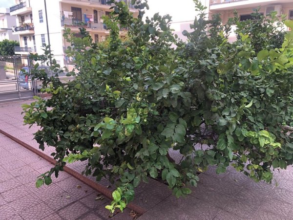 appartamento in vendita a Pozzuoli in zona Solfatara