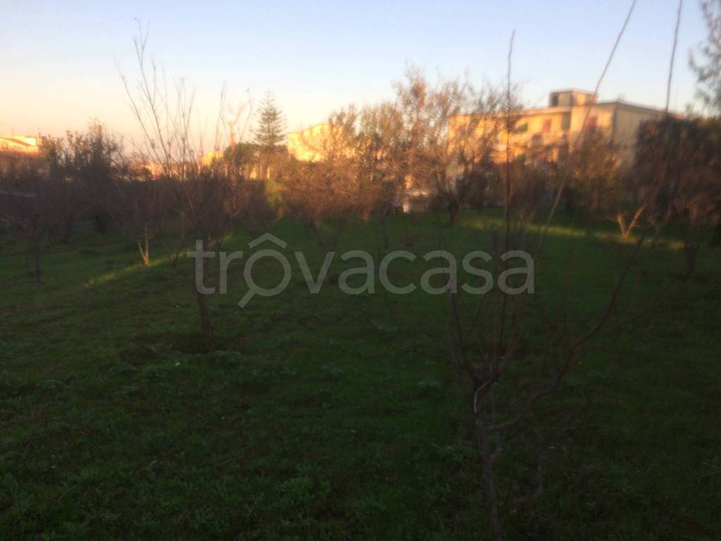 terreno agricolo in vendita a Pozzuoli in zona Monterusciello