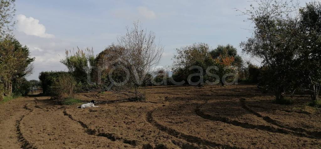 terreno agricolo in vendita a Pozzuoli in zona Monterusciello