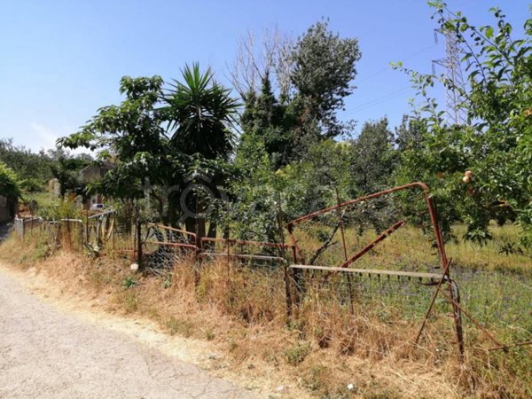 terreno agricolo in vendita a Pozzuoli in zona Monterusciello
