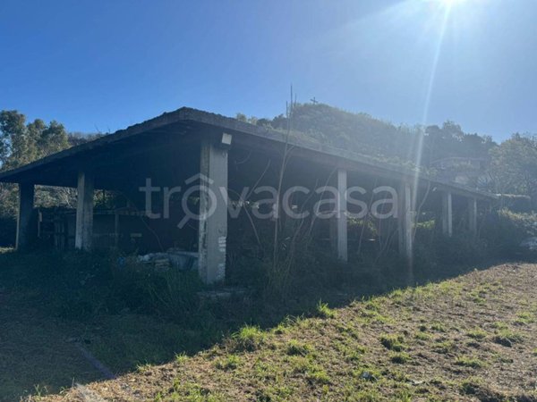 terreno agricolo in vendita a Pozzuoli