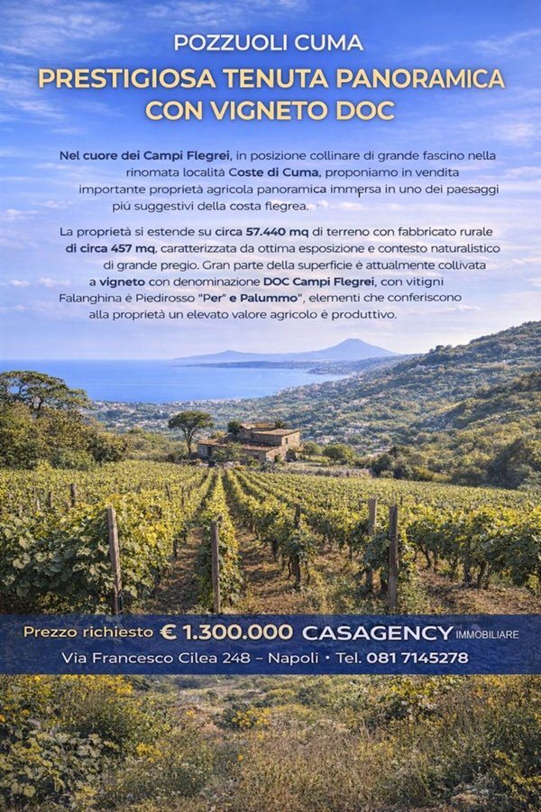 terreno agricolo in vendita a Pozzuoli in zona Cuma