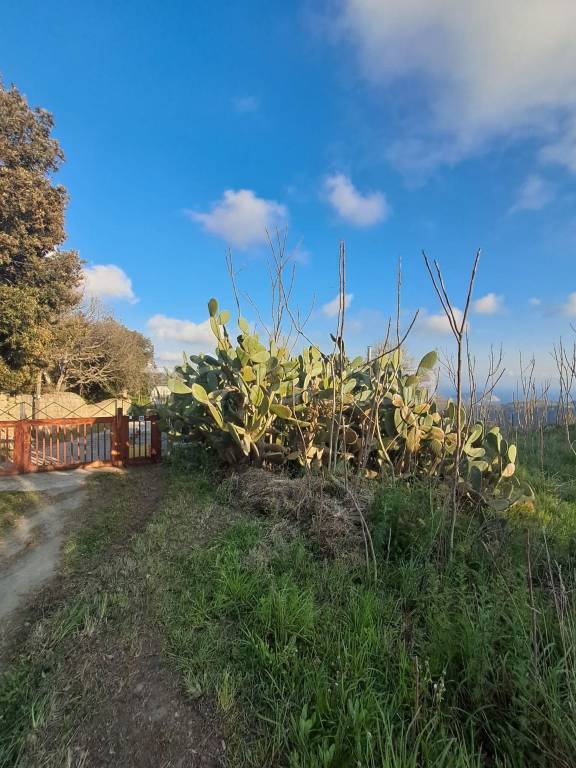 appartamento in vendita a Pozzuoli