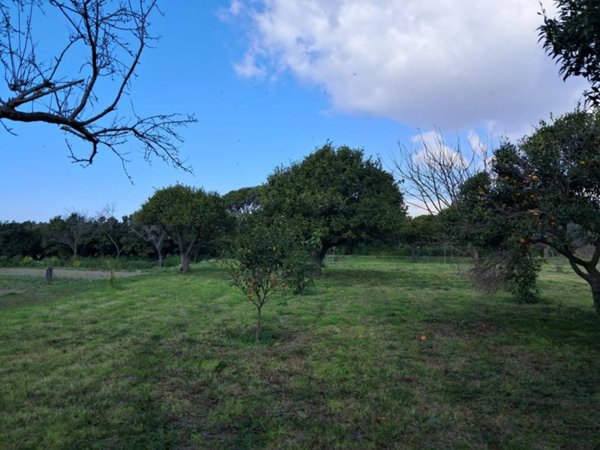 terreno agricolo in vendita a Pozzuoli in zona Licola Lido