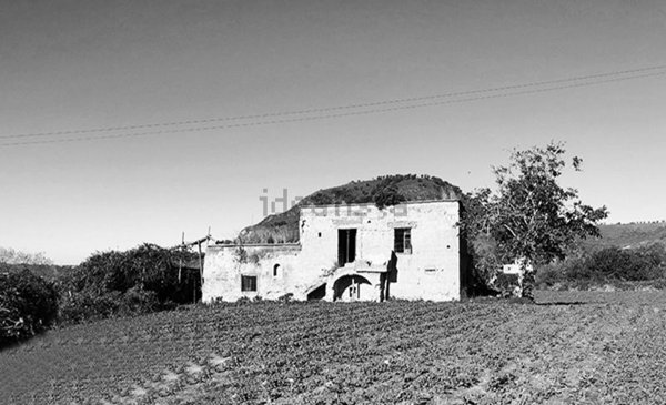 pentavano in vendita a Pozzuoli