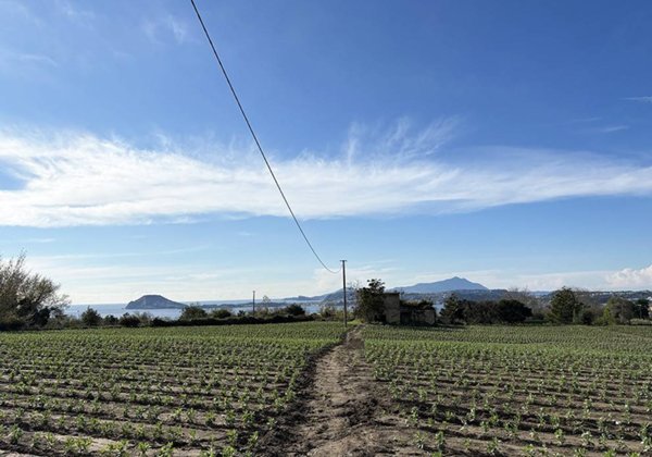 casa indipendente in vendita a Pozzuoli