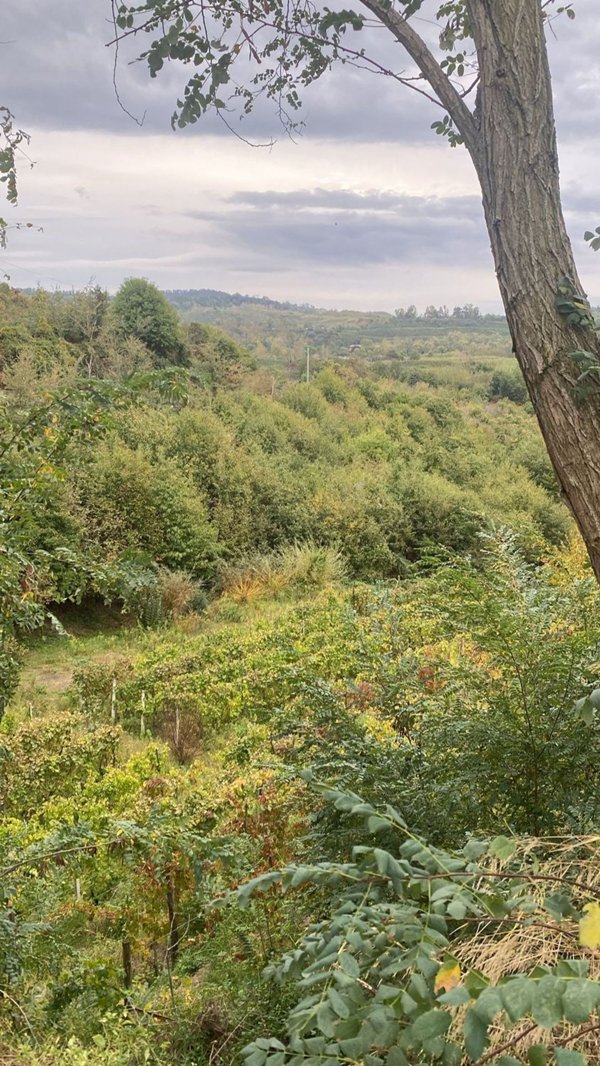 terreno agricolo in vendita a Pozzuoli